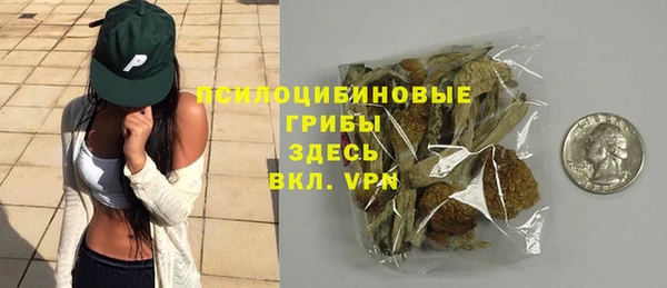 мдпв Дмитриев