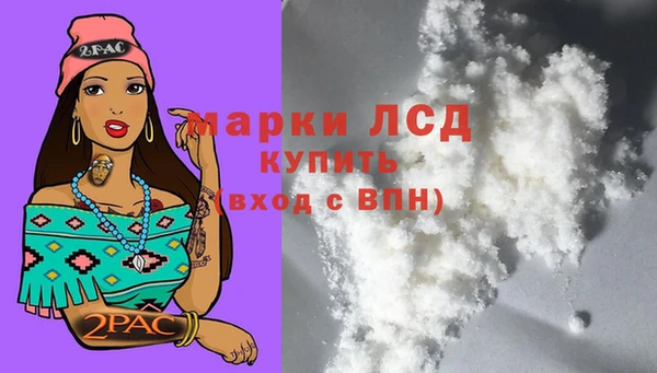 мдпв Дмитриев
