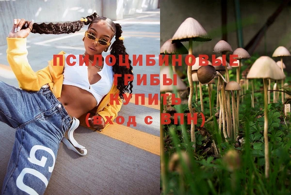 МДМА Дмитровск