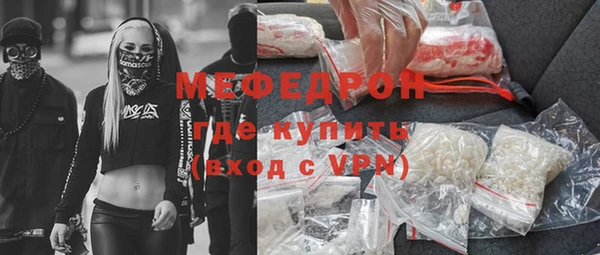 мдпв Дмитриев