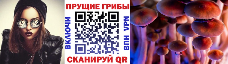 Галлюциногенные грибы прущие грибы  где можно купить   KRAKEN онион  Домодедово 