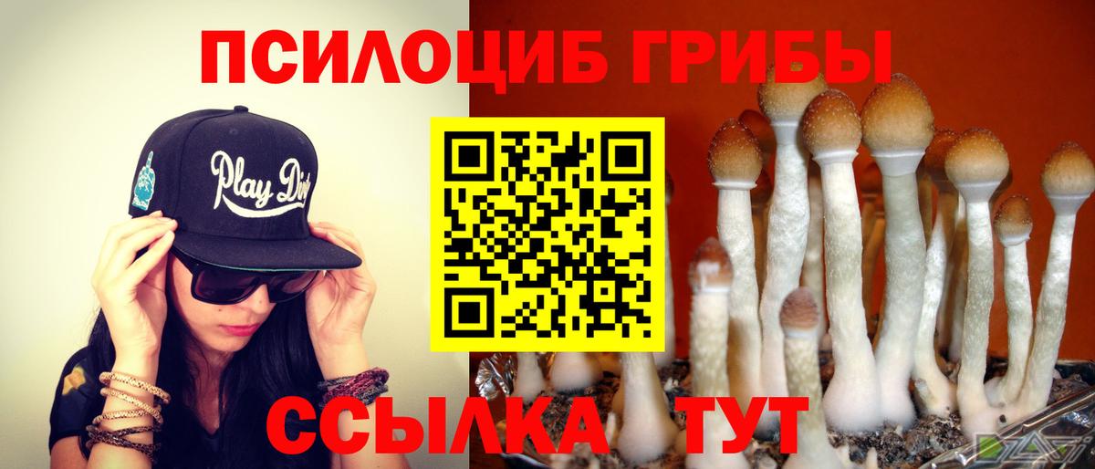 Галлюциногенные грибы мухоморы  Вход с VPN  Домодедово  Галлюциногенные грибы мицелий 